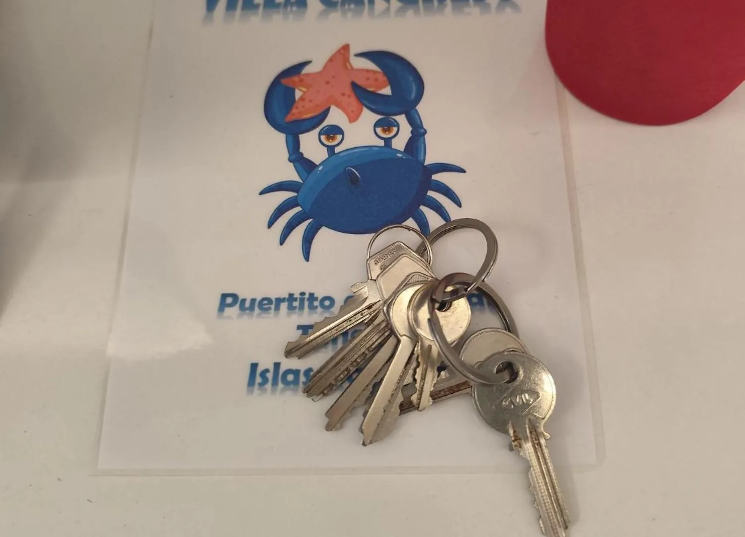 Piso Nuevo En El Puertito De Gueimar Al Lado Del Mar Realizamos Servicio De Excursiones Con Guia Apartamento